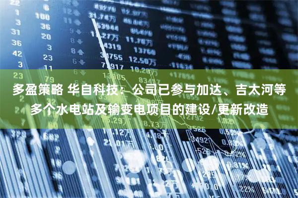 多盈策略 华自科技：公司已参与加达、吉太河等多个水电站及输变电项目的建设/更新改造