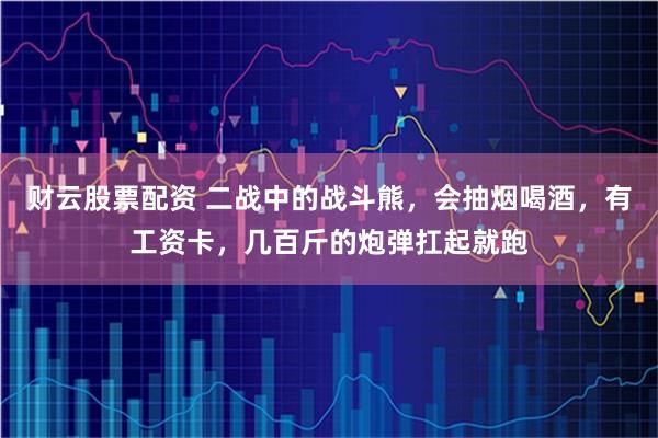 财云股票配资 二战中的战斗熊，会抽烟喝酒，有工资卡，几百斤的炮弹扛起就跑