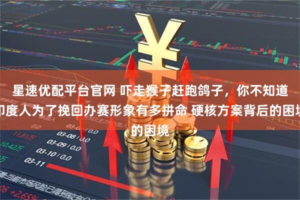 星速优配平台官网 吓走猴子赶跑鸽子，你不知道印度人为了挽回办赛形象有多拼命 硬核方案背后的困境
